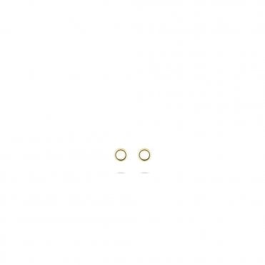 9ct Circle Earrings