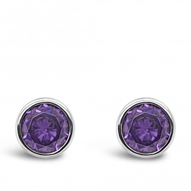 Absolute Silver  February Birthstone Earrings