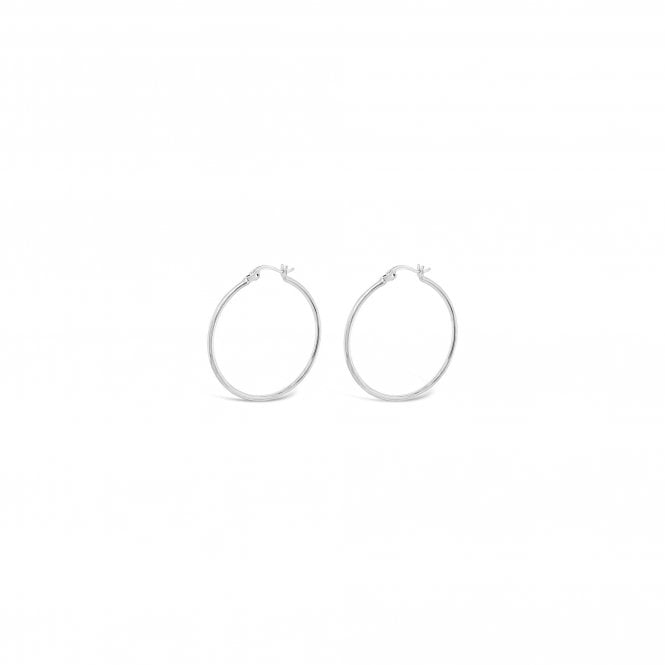 Absolute Silver  Hoop Earrings