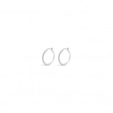 Absolute Silver Stone Set Hoop Earrings