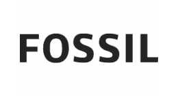 Fossil Watches Fossil Gents Watch