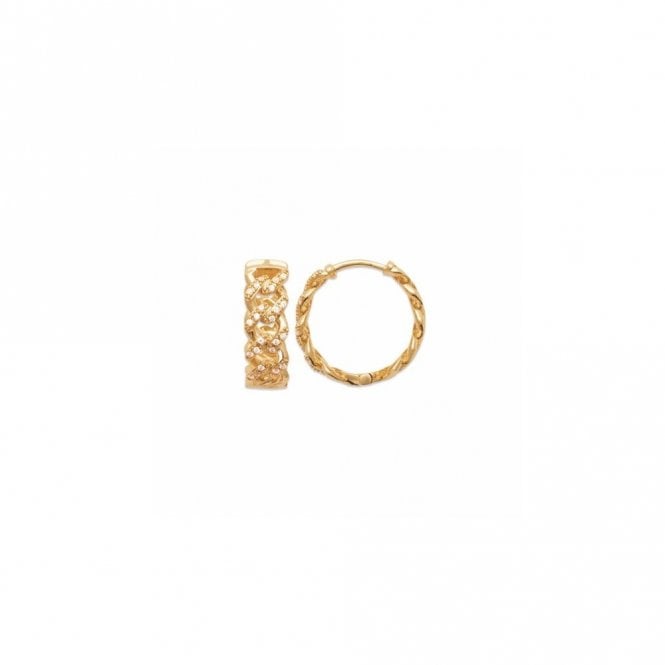 Burren  Weave Curb Earrings