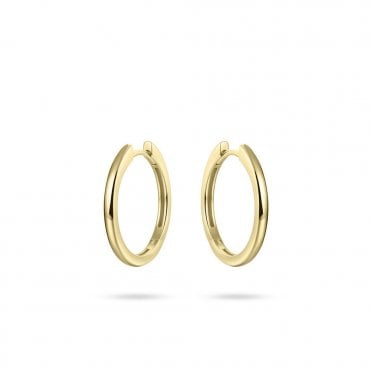 Gold Plated Hoop Earrings