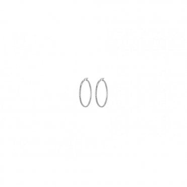Silver Twist 25mm Hoops