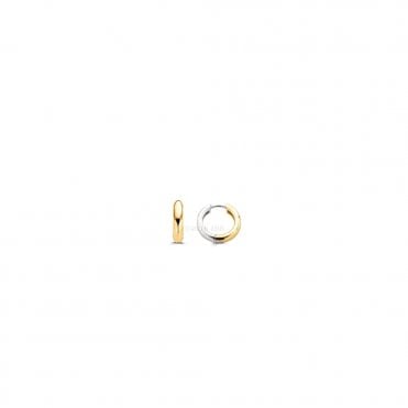TI SENTO - Milano Earrings 7210SY